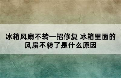 冰箱风扇不转一招修复 冰箱里面的风扇不转了是什么原因